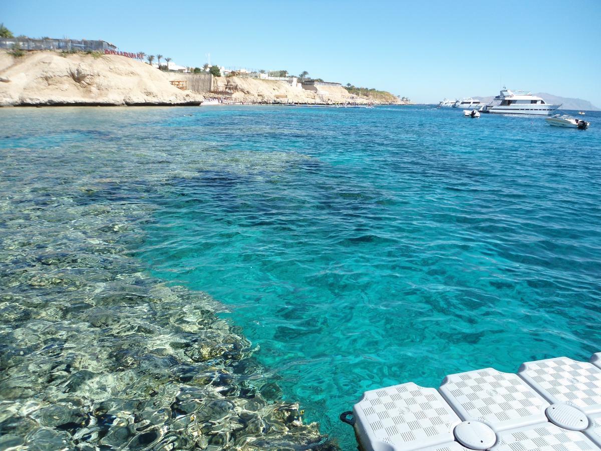 Sharks Bay Oasis Apartment Шарм-эль-Шейх Экстерьер фото