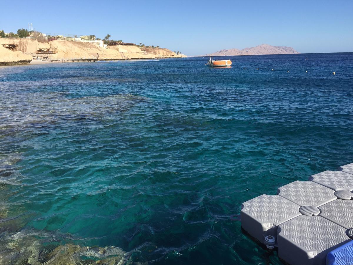 Sharks Bay Oasis Apartment Шарм-эль-Шейх Экстерьер фото