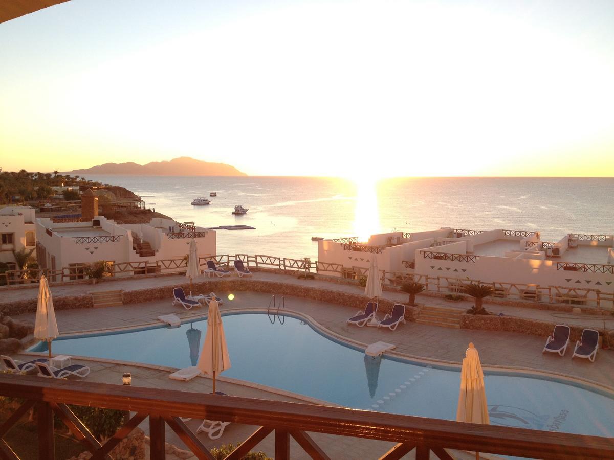 Sharks Bay Oasis Apartment Шарм-эль-Шейх Экстерьер фото